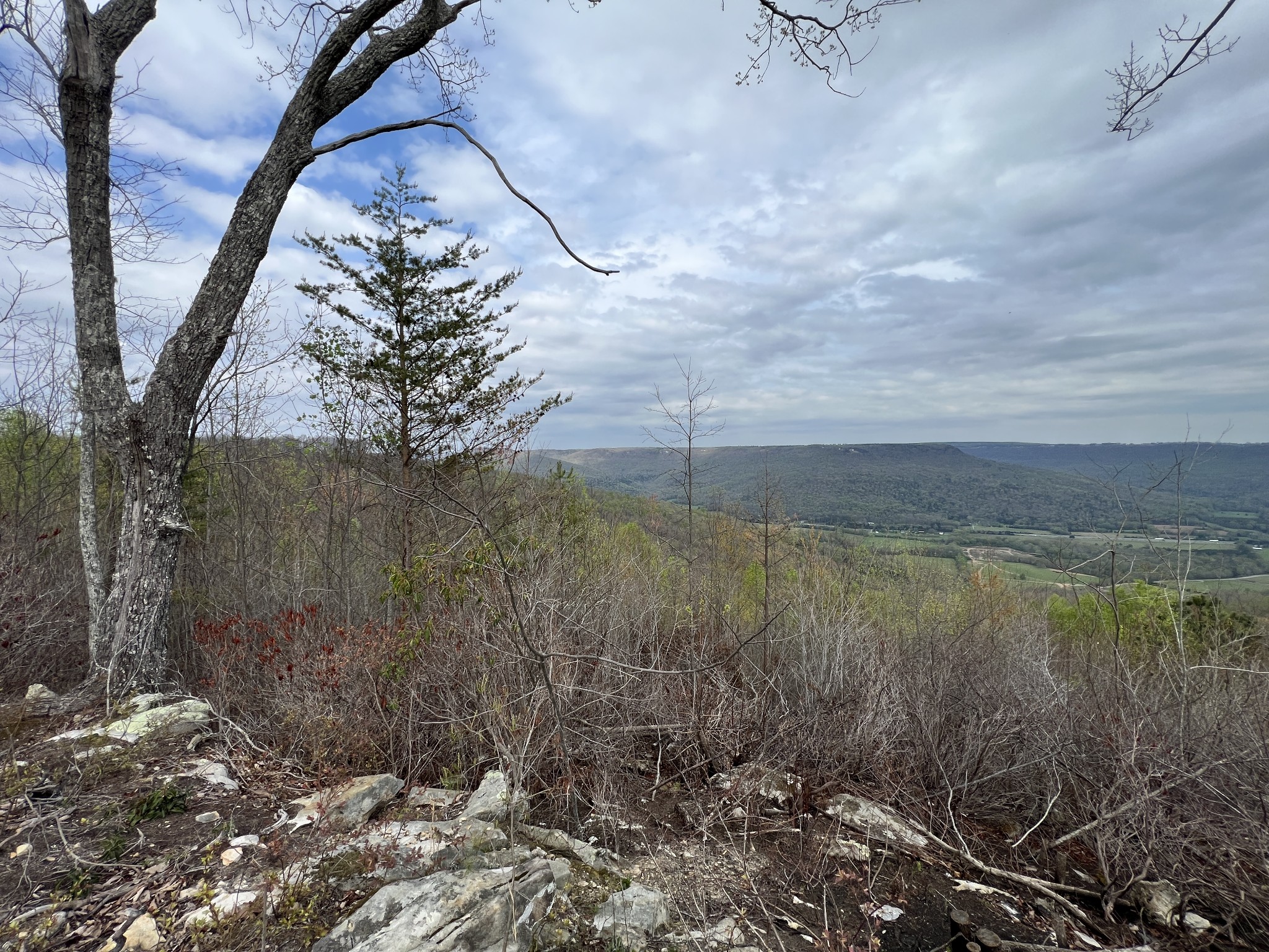 6123 Jackson Point Road Sewanee, TN 37375 - Photo 1 of 10 You absolutely have to see this view in person in order to fully appreciate it.