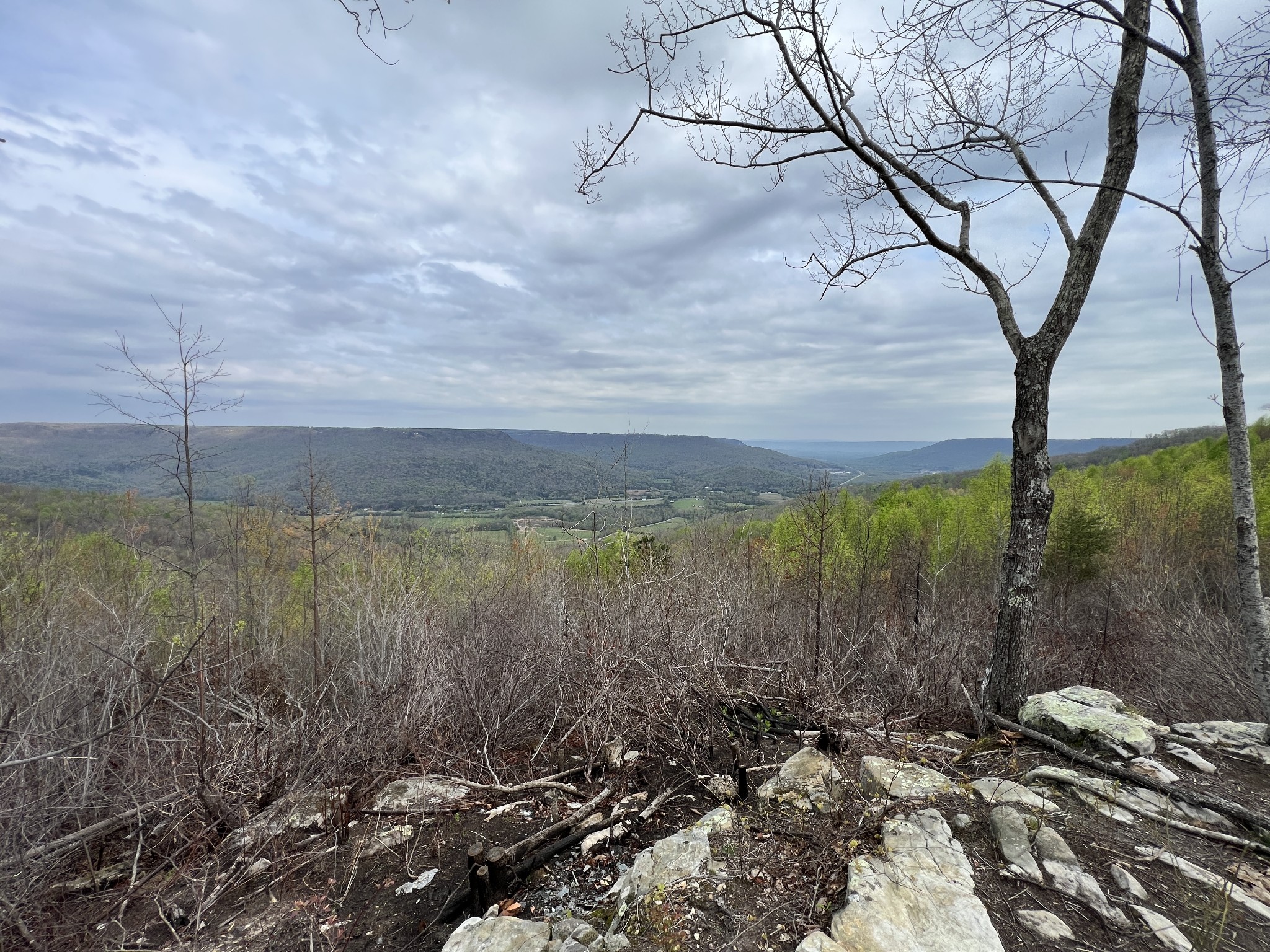 6123 Jackson Point Road Sewanee, TN 37375 - Photo 3 of 10 Build your dream home and have this view as your very own...