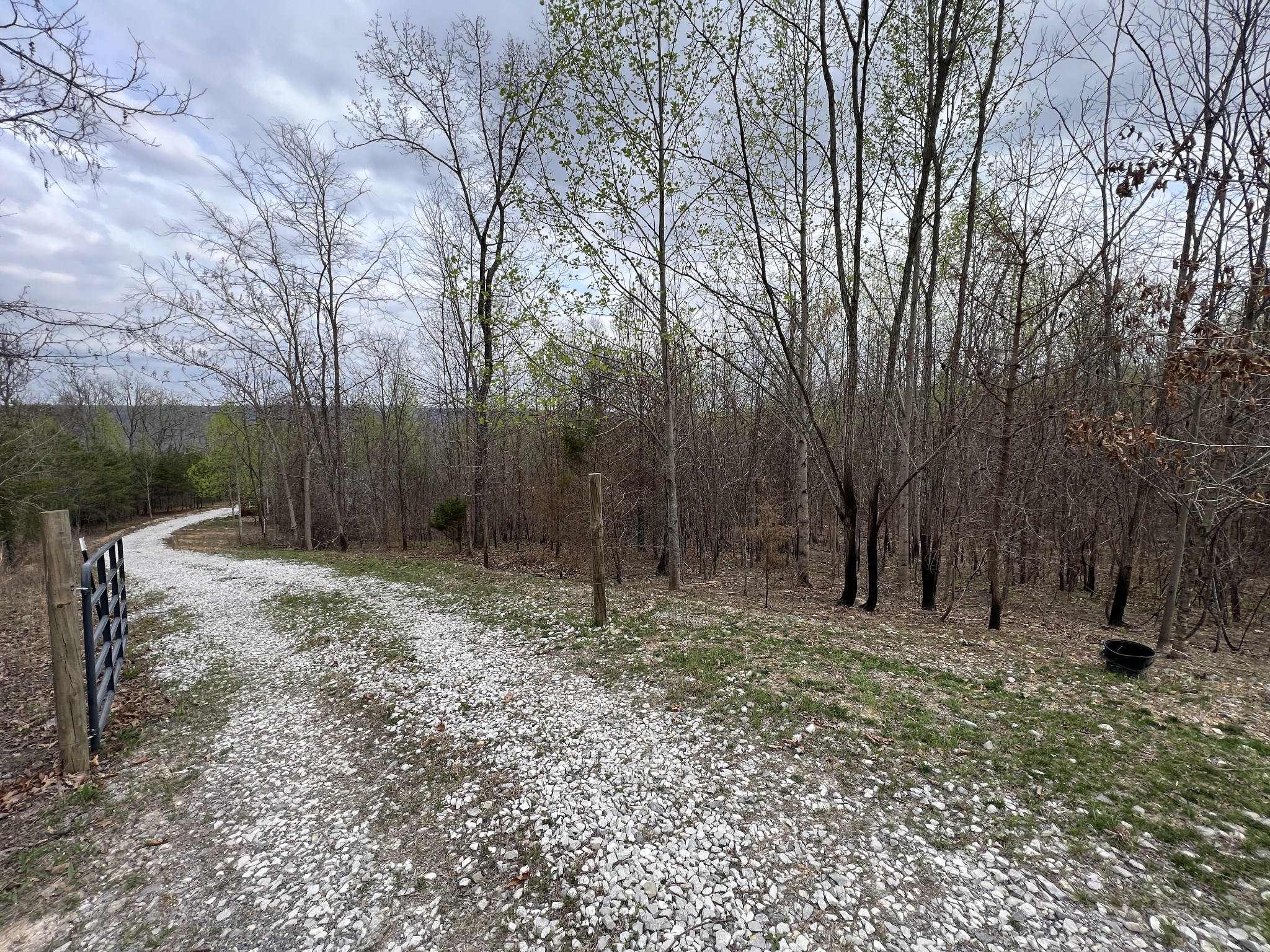 6123 Jackson Point Road Sewanee, TN 37375 - Photo 5 of 10 Are you searching for privacy? Would you like Million Dollar views $$$?