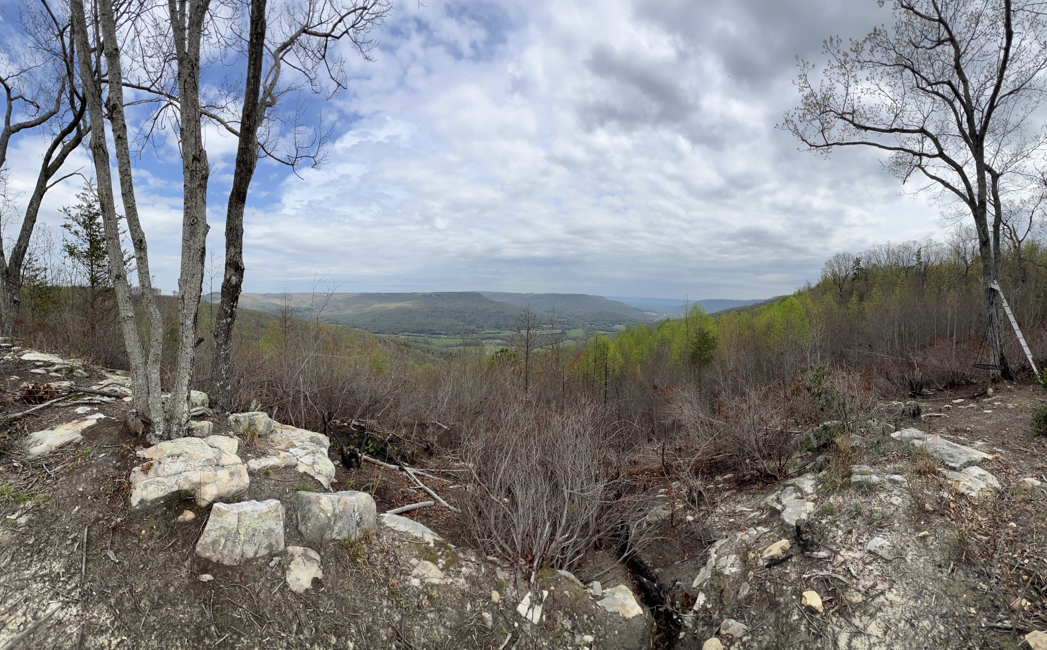 6123 Jackson Point Road Sewanee, TN 37375 - Photo 10 of 10 One last look at that view... want to tour this property in person? Connect with your favorite Realtor today!