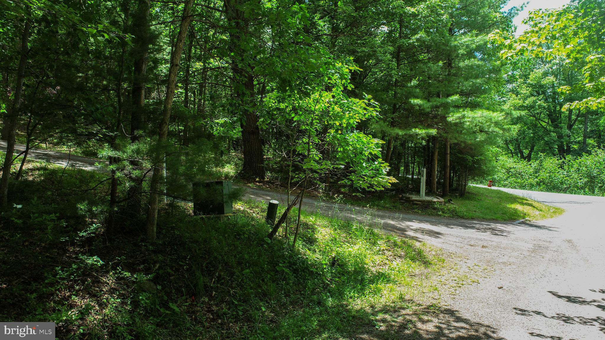 North Glade Road Swanton, MD 21561 - Photo 16 of 16