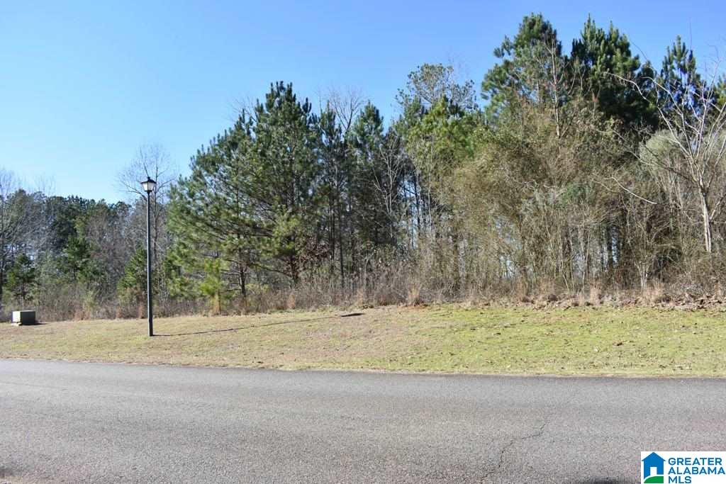 Lot 150 County Road 804, Unit 150 Wedowee, AL 36278 - Photo 8 of 8