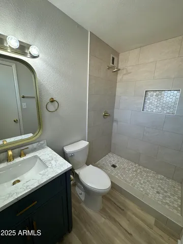 a bathroom with a sink a toilet a shower and a mirror
