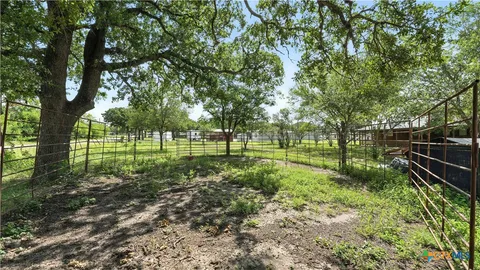 a view of a park with large trees