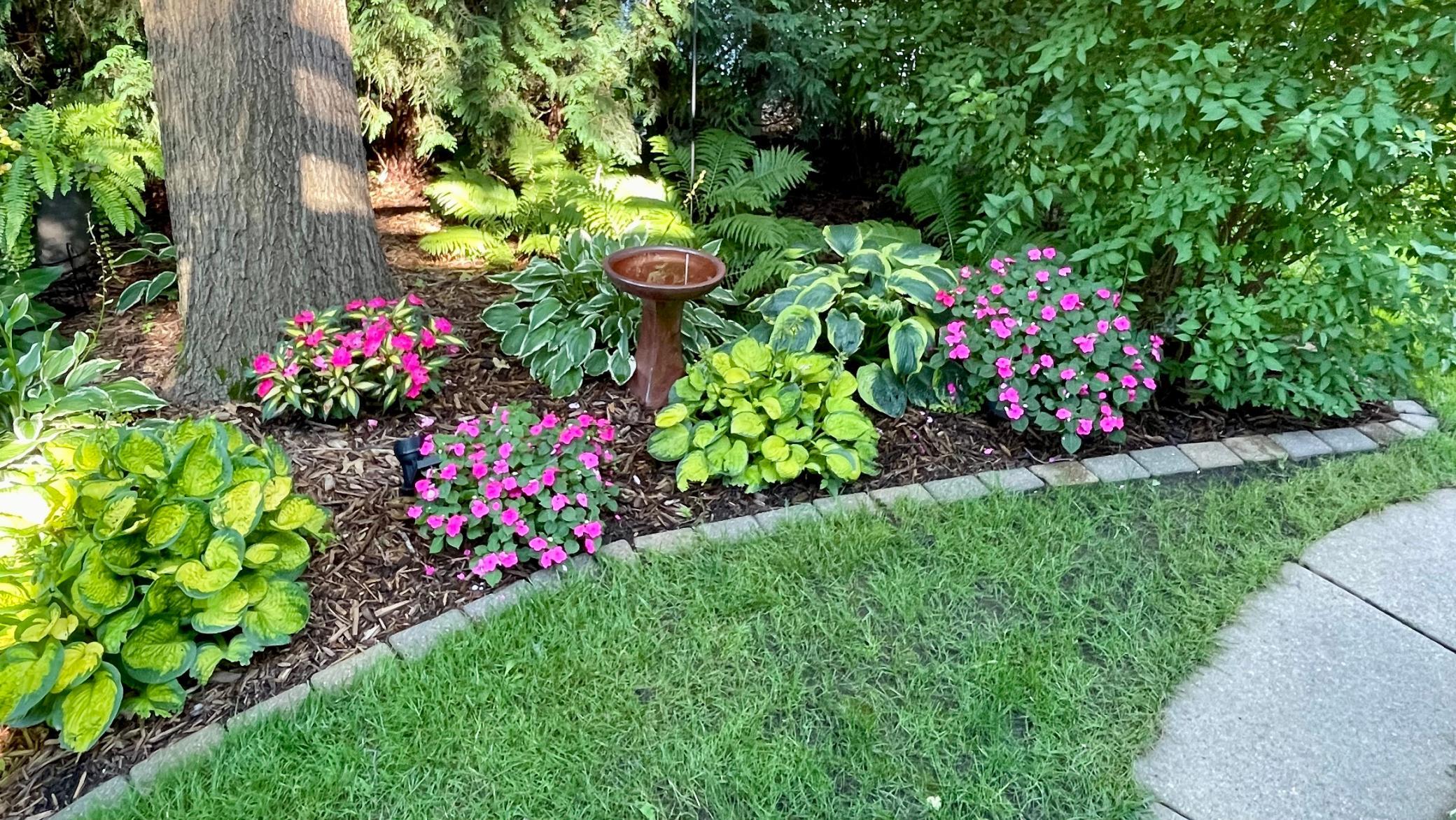 602 6th Avenue Southwest Austin, MN 55912 - Photo 37 of 54