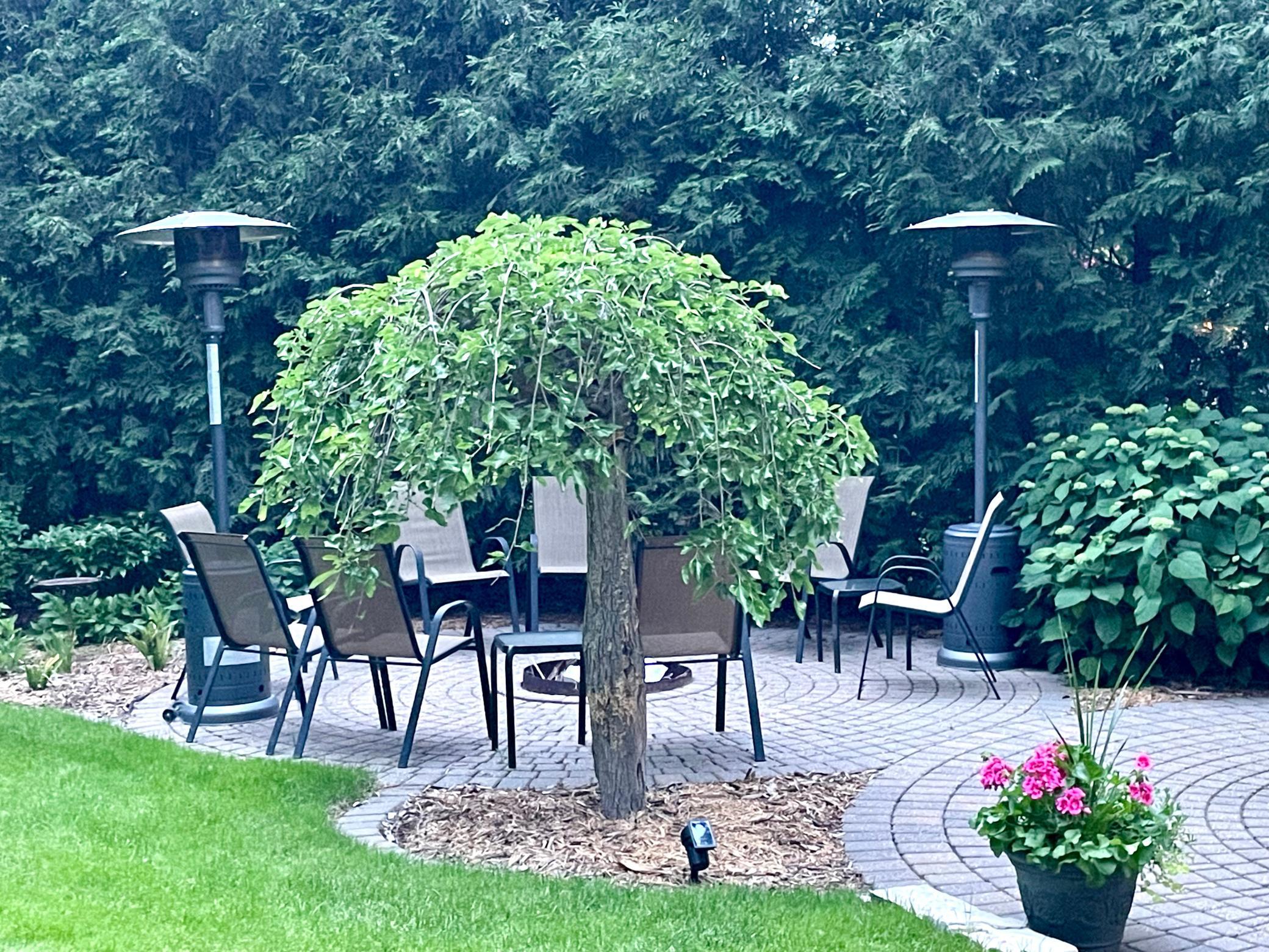 602 6th Avenue Southwest Austin, MN 55912 - Photo 38 of 54