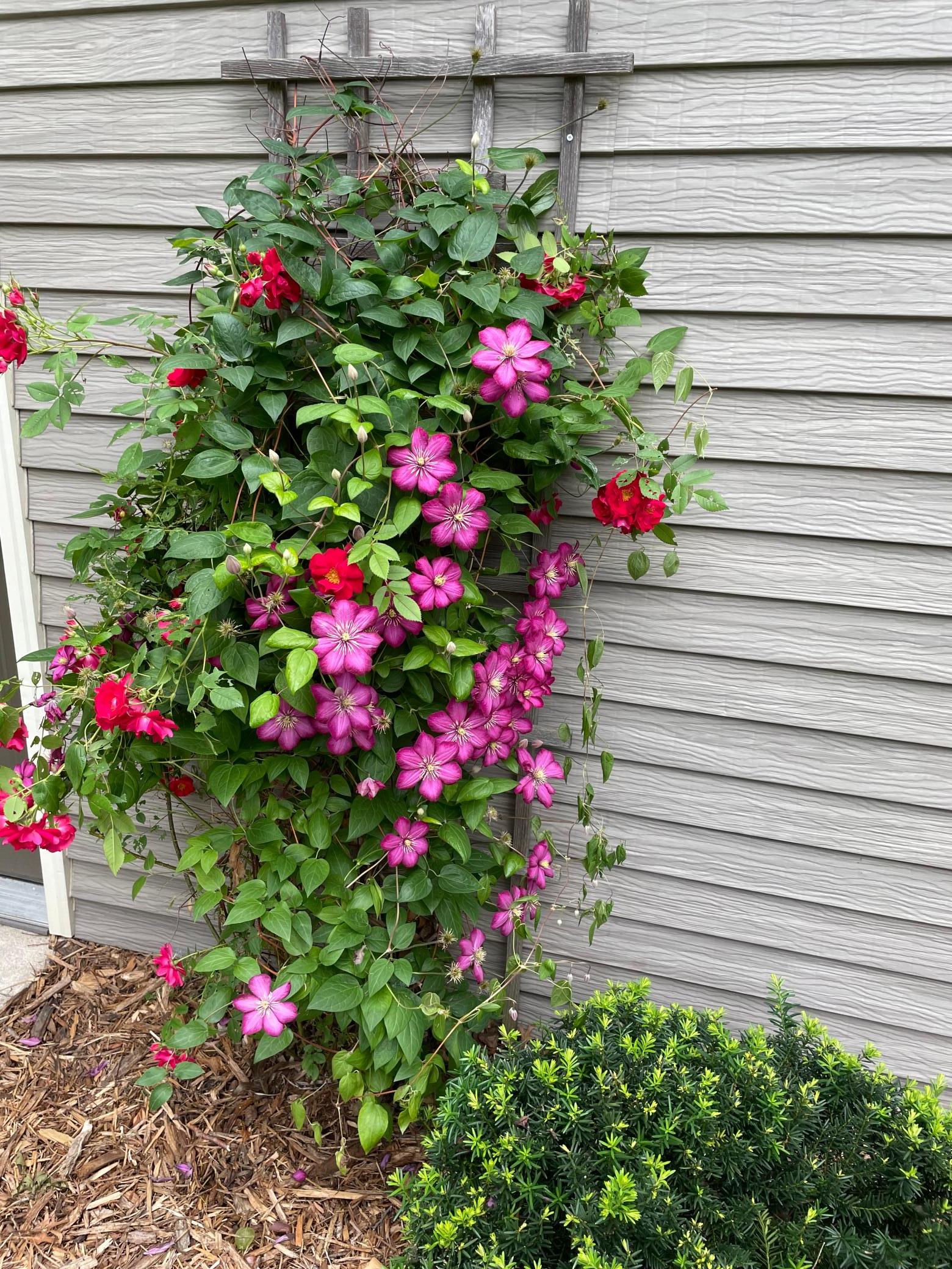 602 6th Avenue Southwest Austin, MN 55912 - Photo 42 of 54