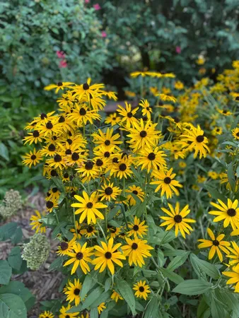 $379,500 | 602 6th Avenue Southwest, Austin, MN 55912