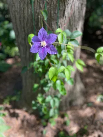 $379,500 | 602 6th Avenue Southwest, Austin, MN 55912