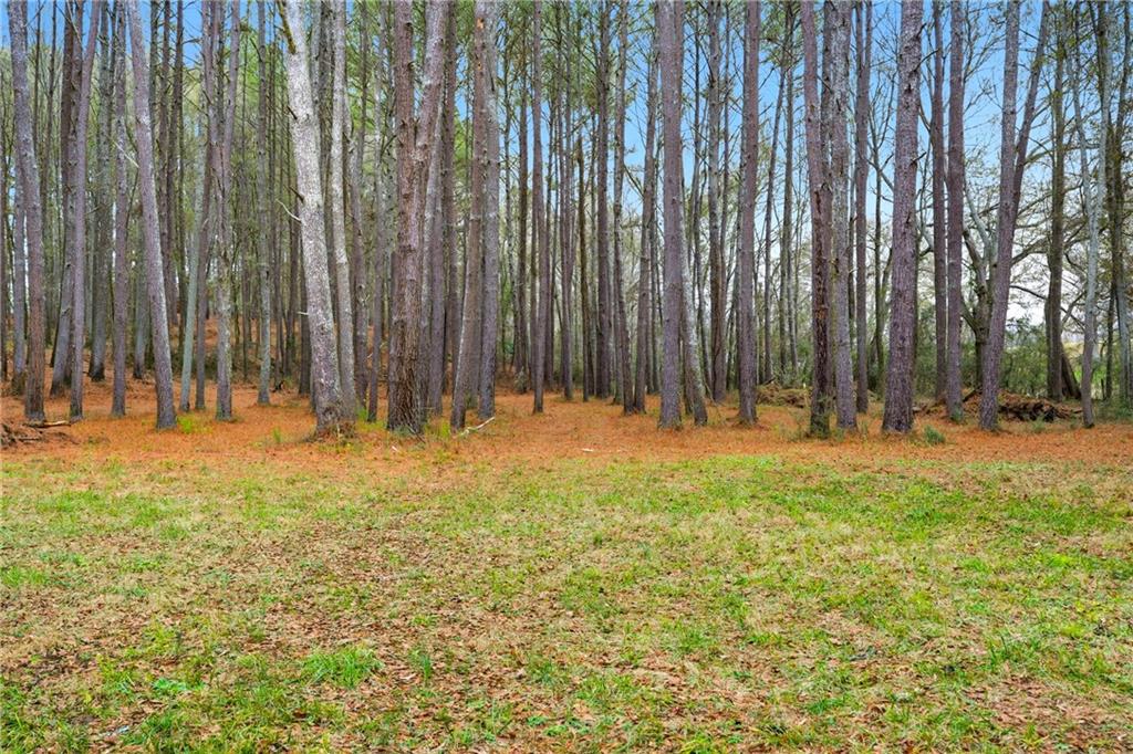 1295 Double Bridges Road Winder, GA 30680 - Photo 53 of 57 a view of outdoor space with trees