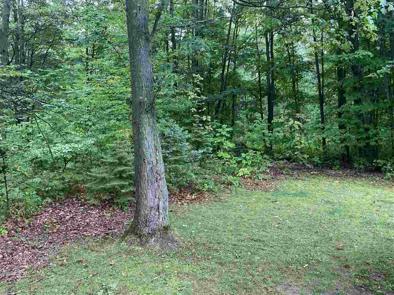1485 South 9 Mile Road Merritt, MI 49667 - Photo 44 of 46 1867141-43.JPG