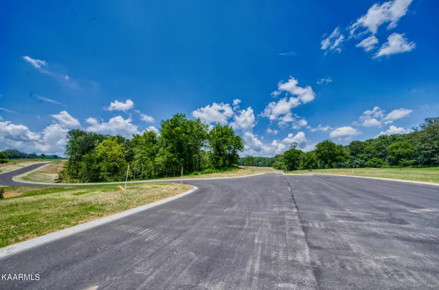 $110,000 | Lot10-850 Sophie Drive, Greenback, TN 37742