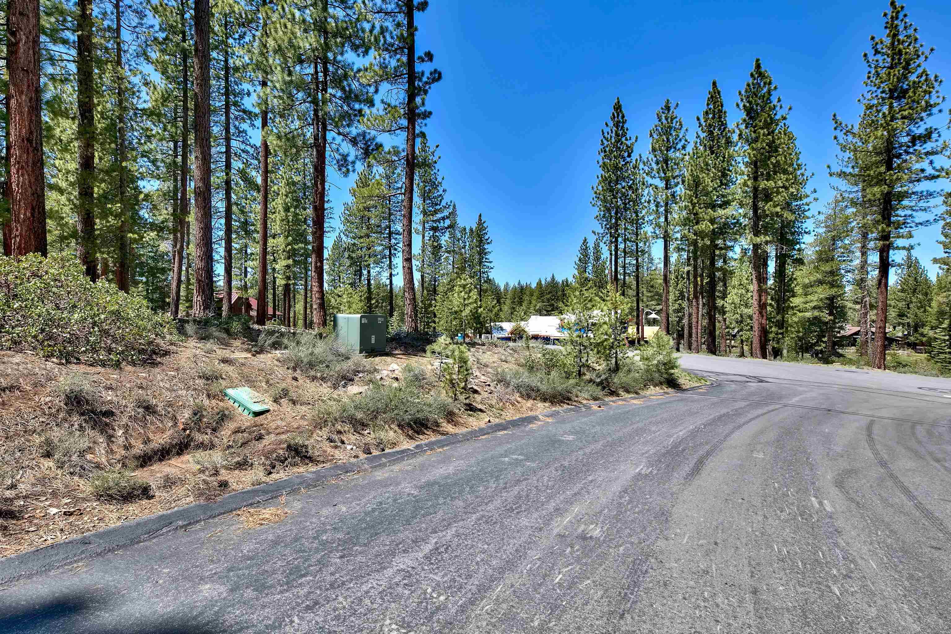 11302 Elle Ellen Truckee, CA 96161 - Photo 11 of 21 a view of a backyard of a house