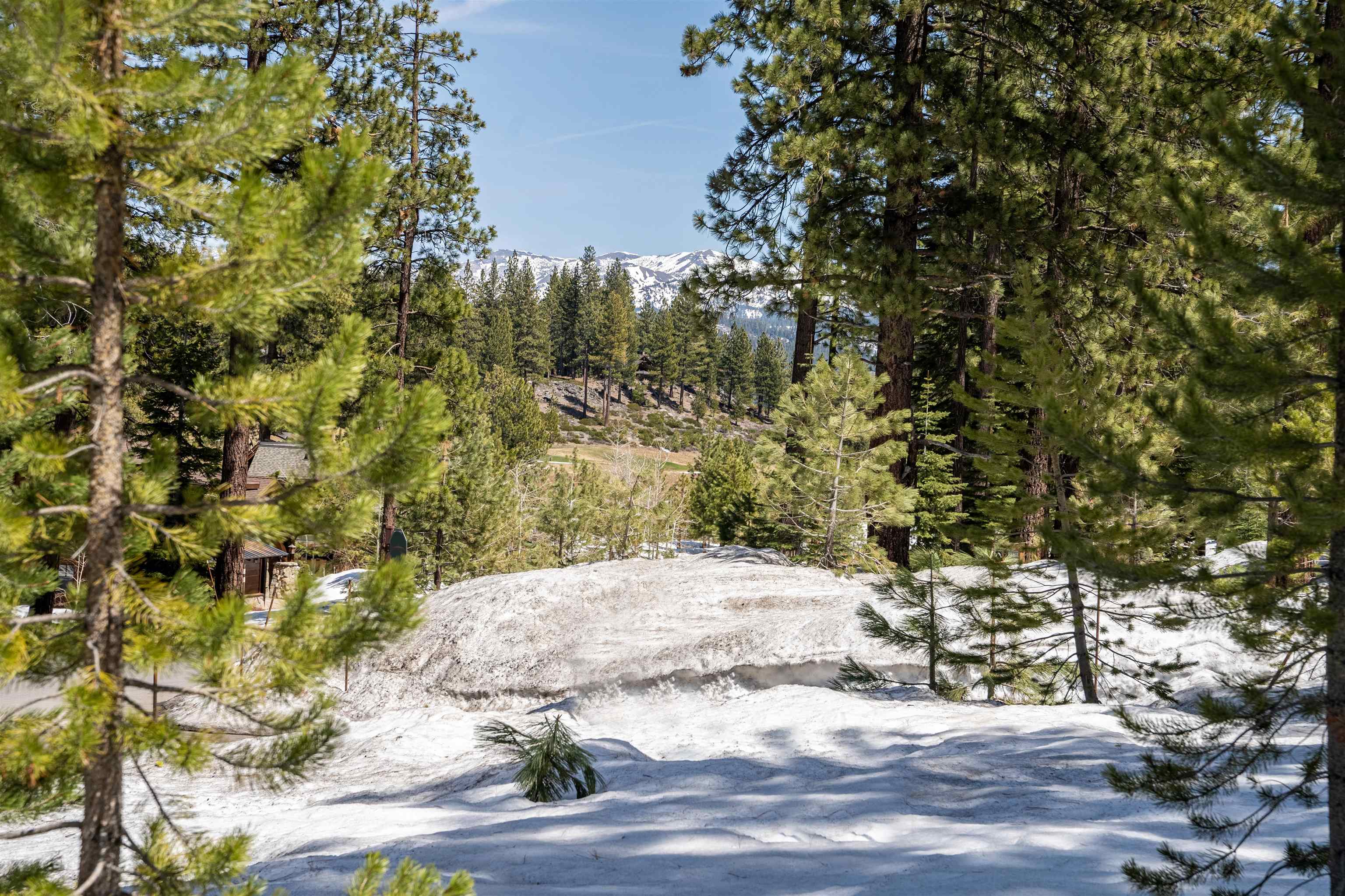 11302 Elle Ellen Truckee, CA 96161 - Photo 13 of 21 a view of a yard with a tree
