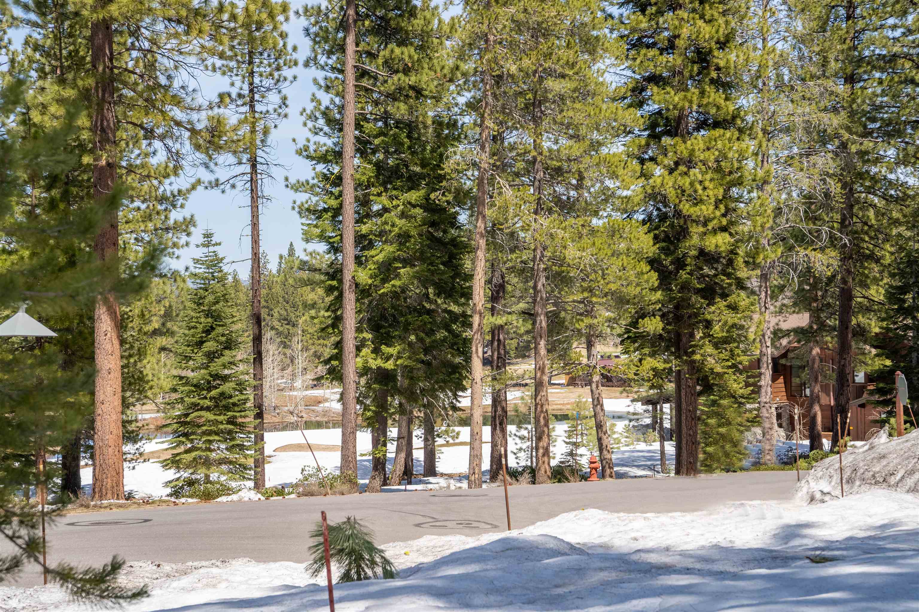 11302 Elle Ellen Truckee, CA 96161 - Photo 15 of 21 a view of a building