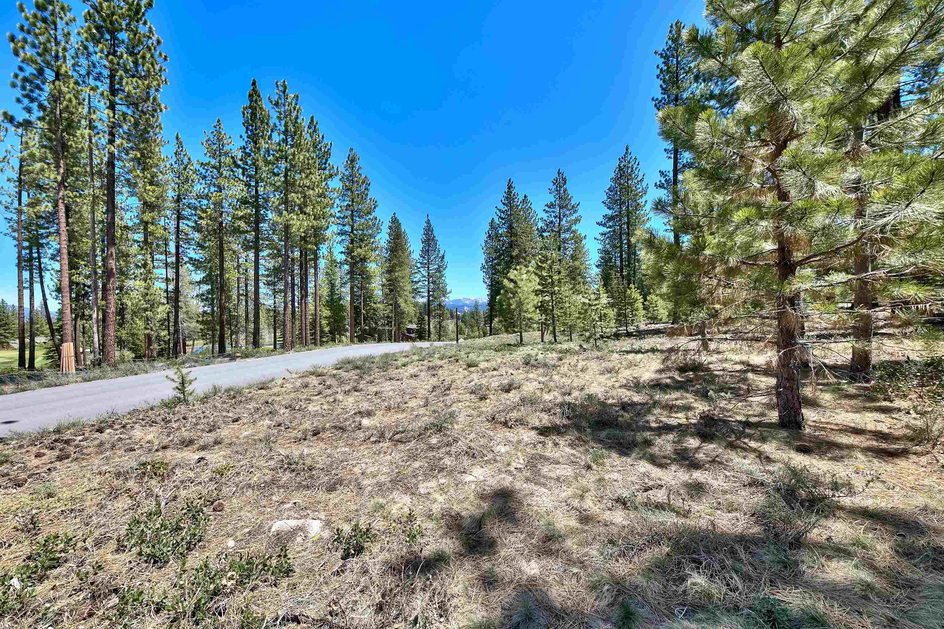 11302 Elle Ellen Truckee, CA 96161 - Photo 16 of 21 a view of a yard with trees in the background