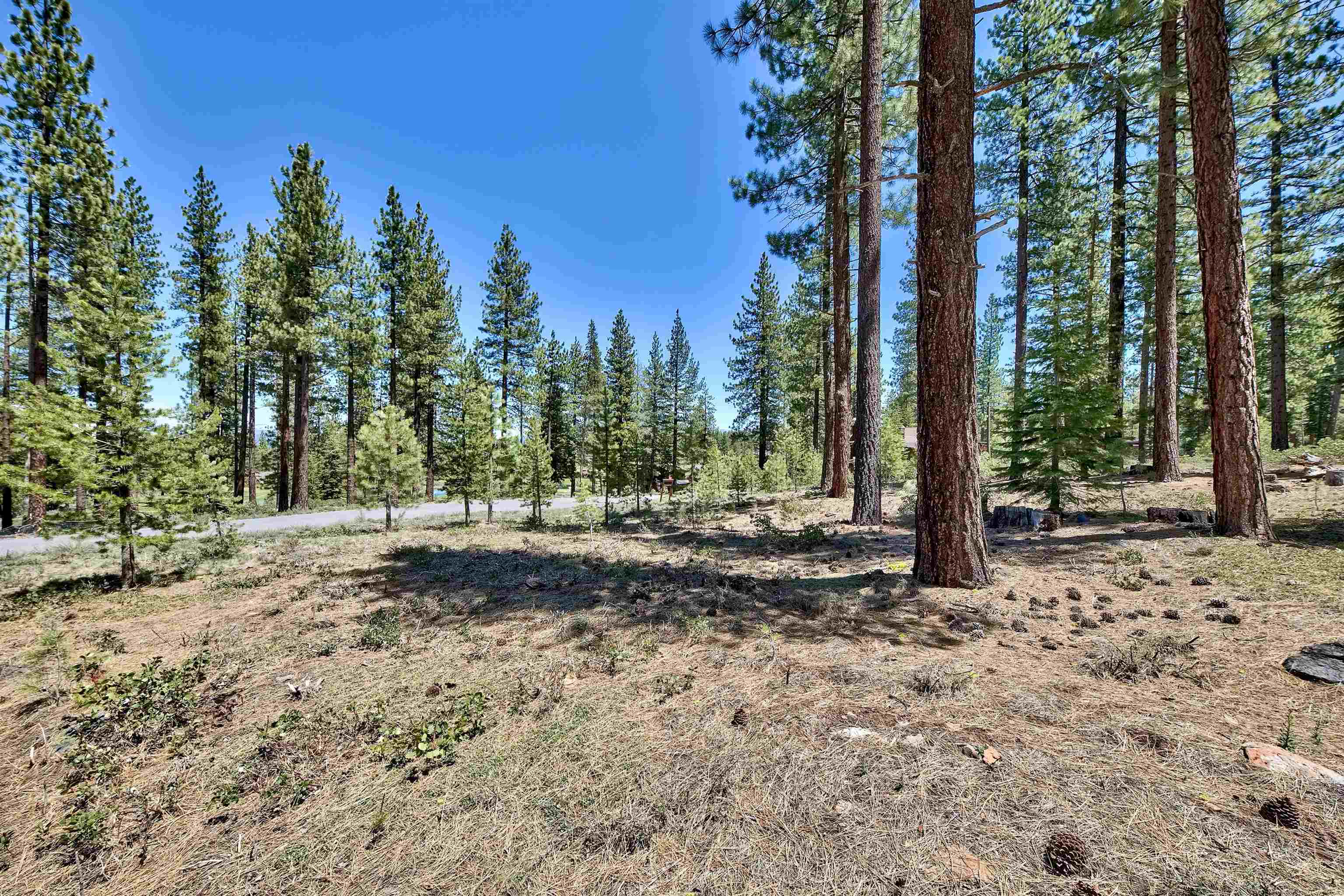 11302 Elle Ellen Truckee, CA 96161 - Photo 3 of 21 a backyard of a house with trees