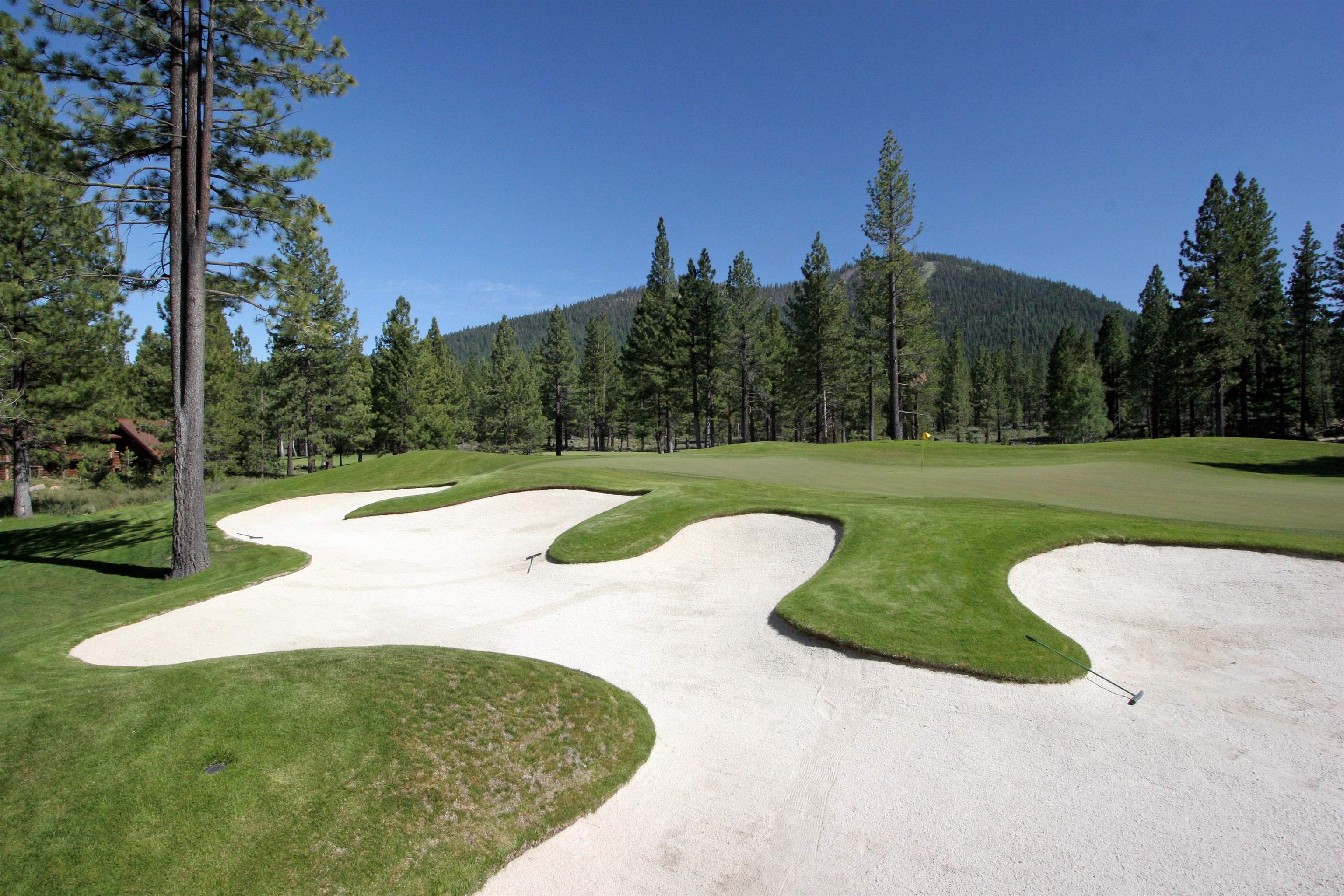 11302 Elle Ellen Truckee, CA 96161 - Photo 4 of 21 a view of a park