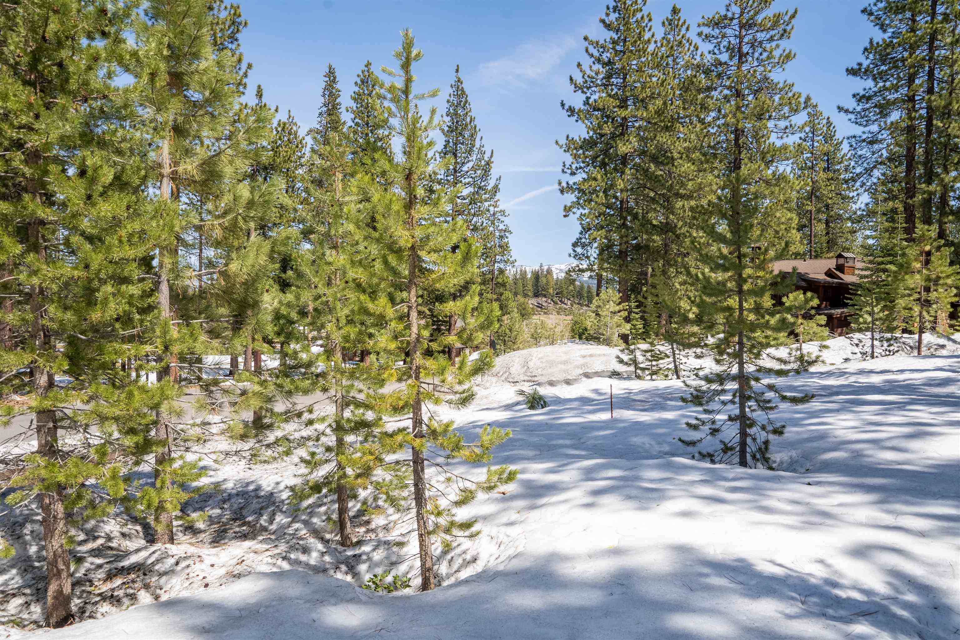 11302 Elle Ellen Truckee, CA 96161 - Photo 6 of 21 a view of yard