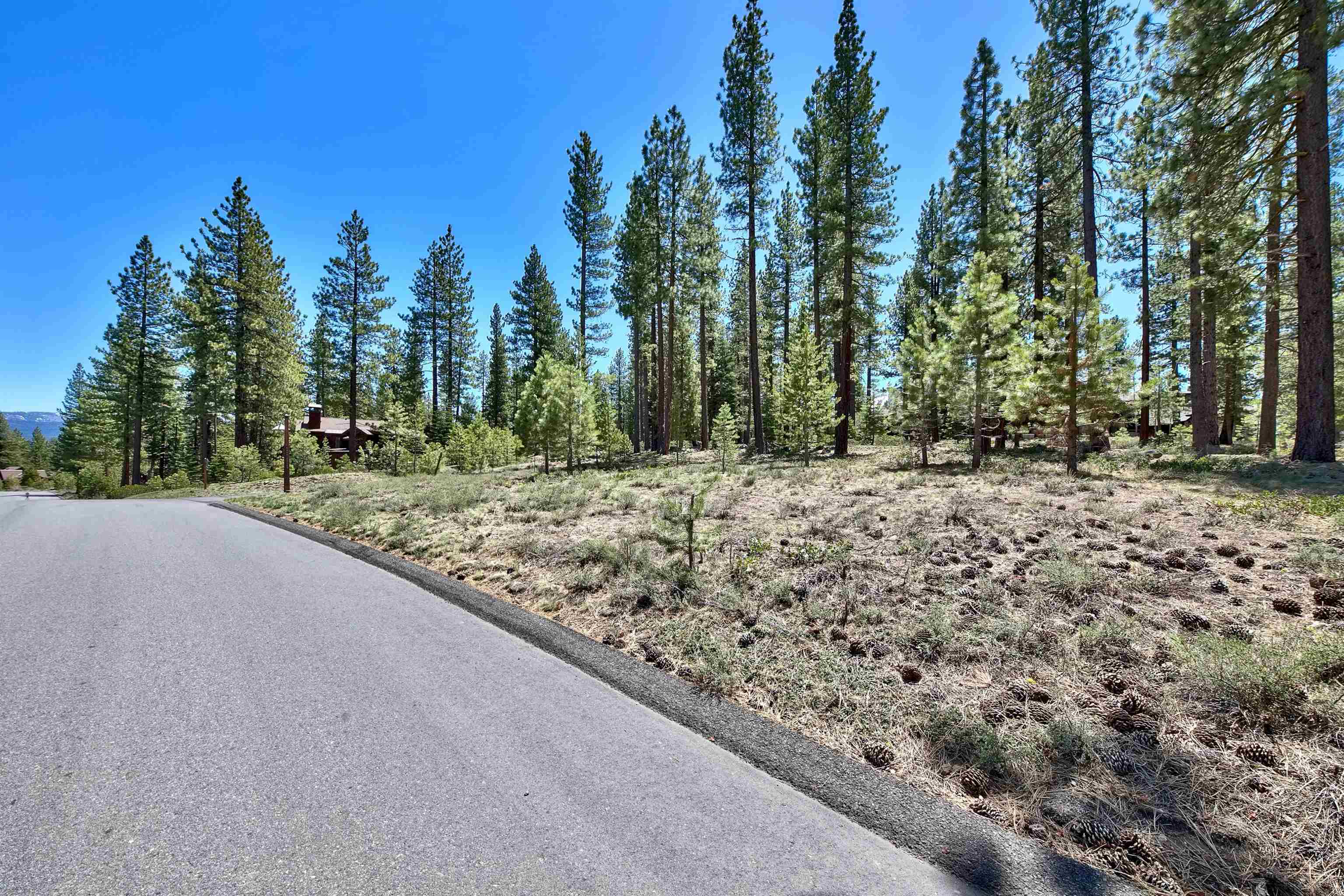 11302 Elle Ellen Truckee, CA 96161 - Photo 9 of 21 a view of a yard with trees in the background