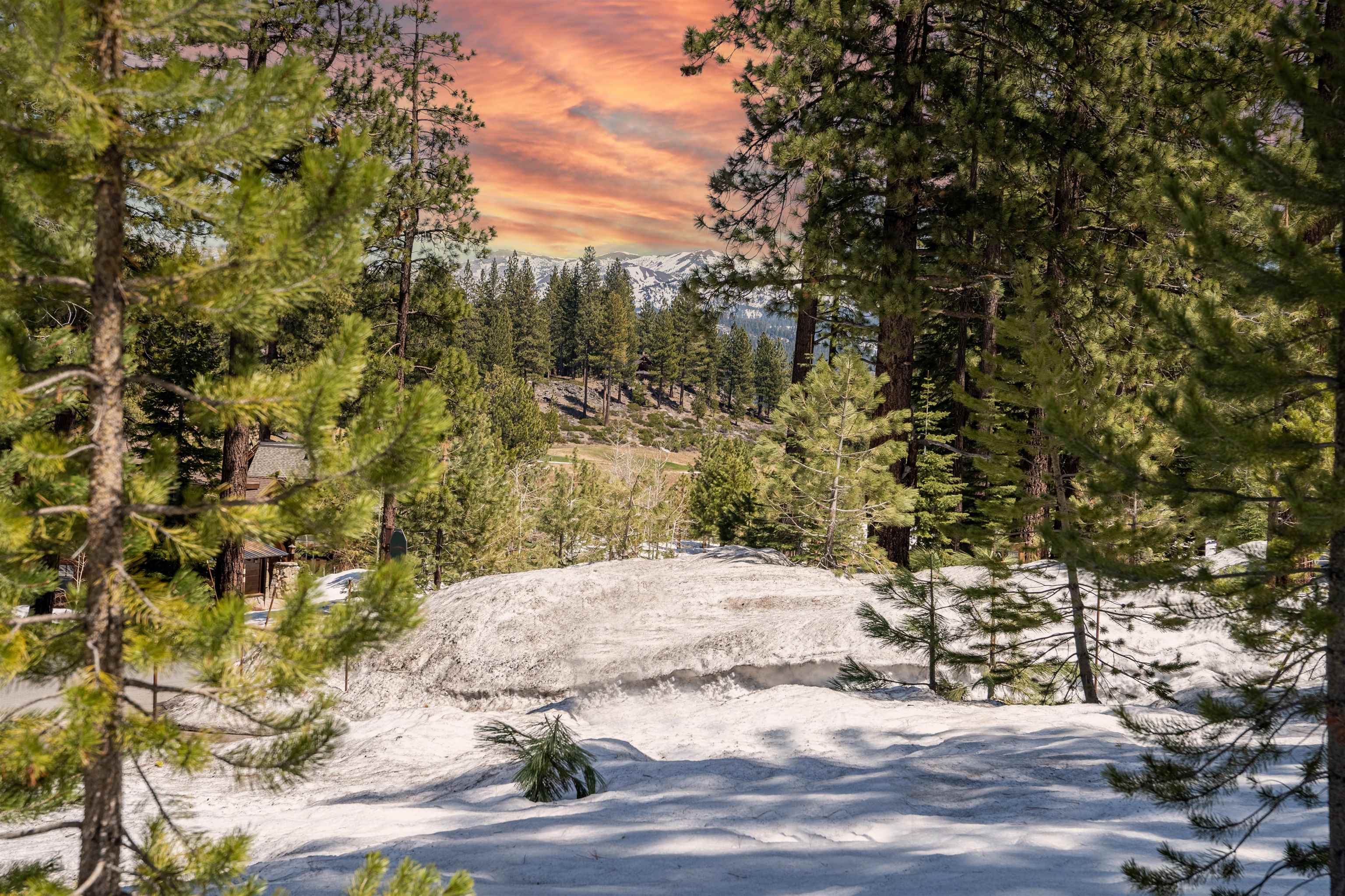 11302 Elle Ellen Truckee, CA 96161 - Photo 10 of 21 a view of a yard with a tree
