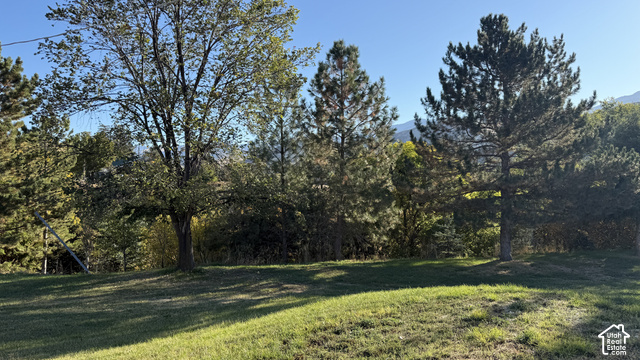 4324 East Cub Road Preston, ID 83263 - Photo 14 of 16 Expansive grassy area with a gentle slope and mature trees