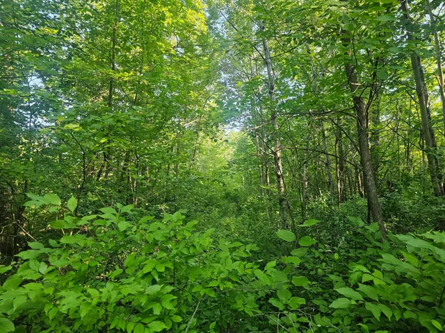 $27,900 | Tbd Lot 1 Tbd Lane, Crosby, MN 56441