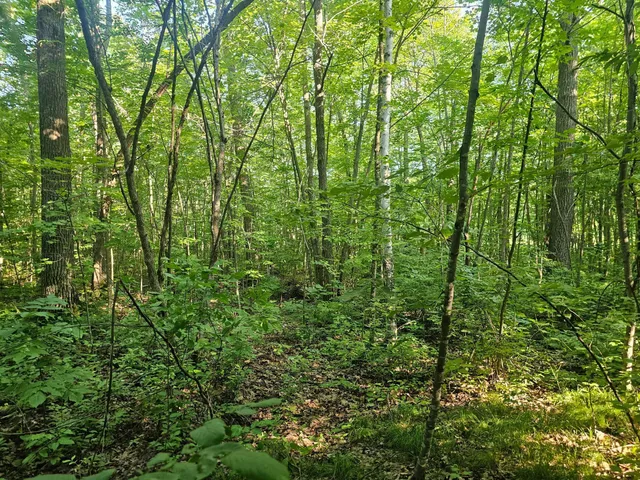 $27,900 | Tbd Lot 1 Tbd Lane, Crosby, MN 56441