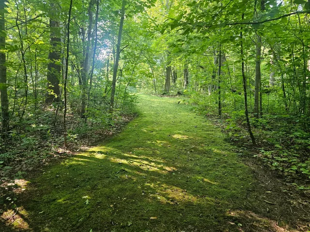 $27,900 | Tbd Lot 1 Tbd Lane, Crosby, MN 56441