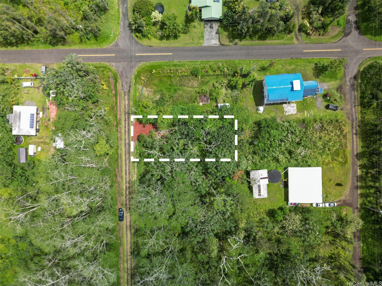 an aerial view of a house with a yard and plants