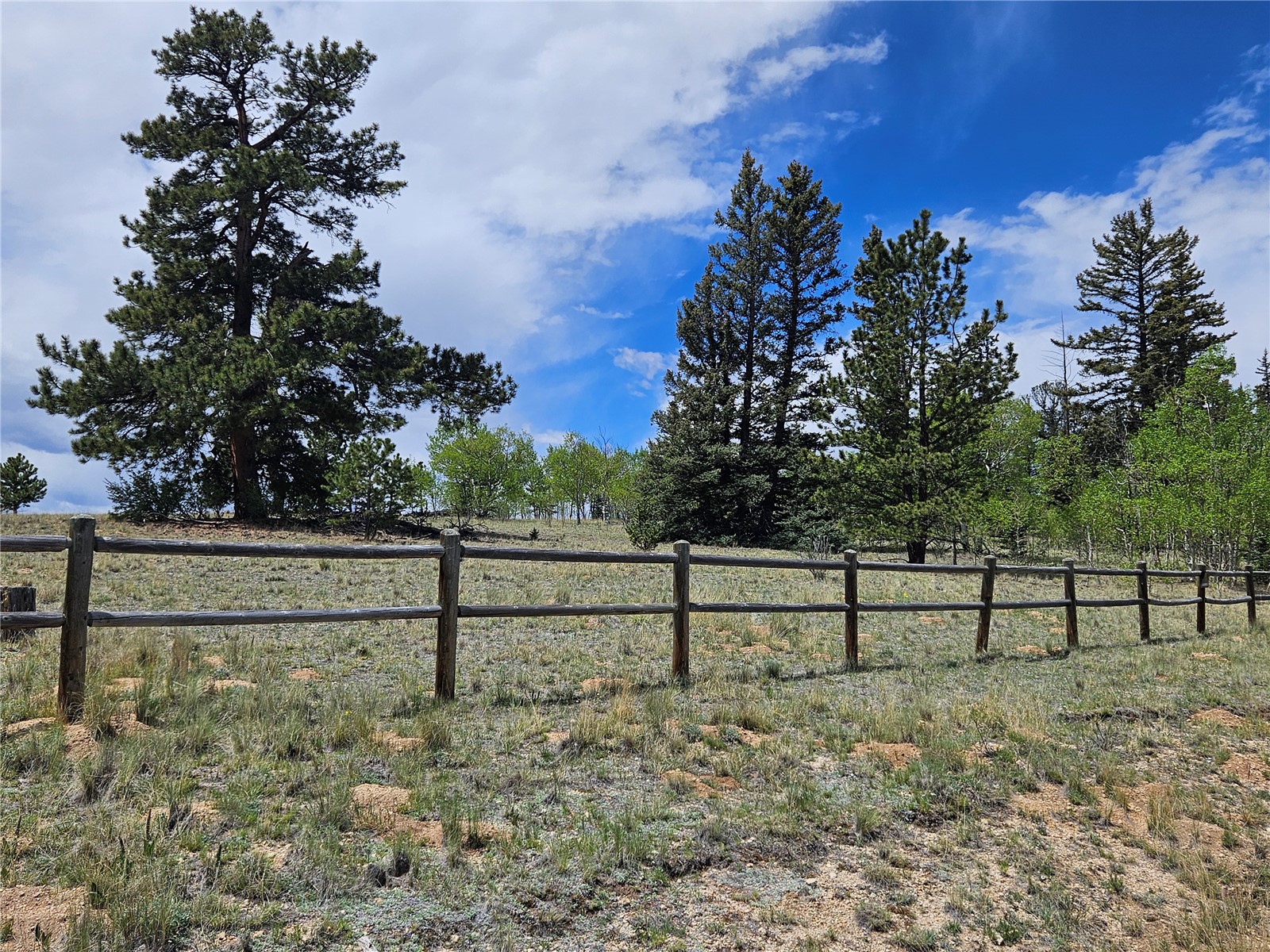 412 Smith And Wesson Road Como, CO 80432 - Photo 8 of 50
