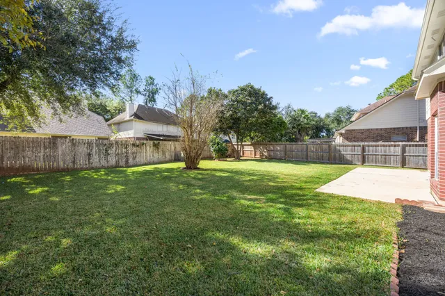 a view of a backyard with a garden and plants