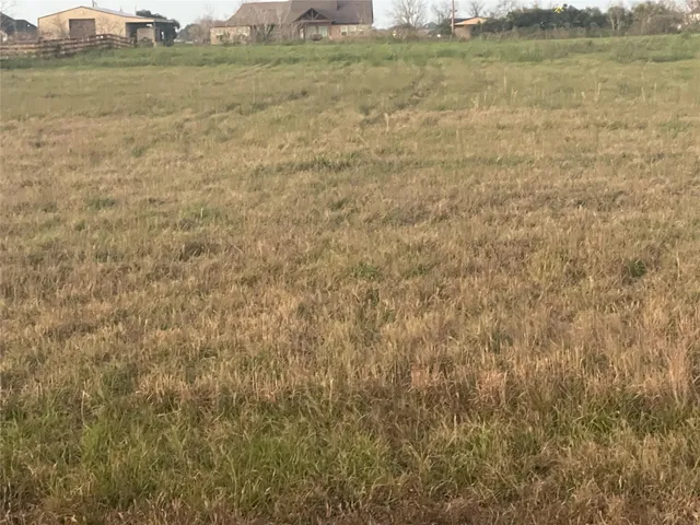 a view of a field with trees