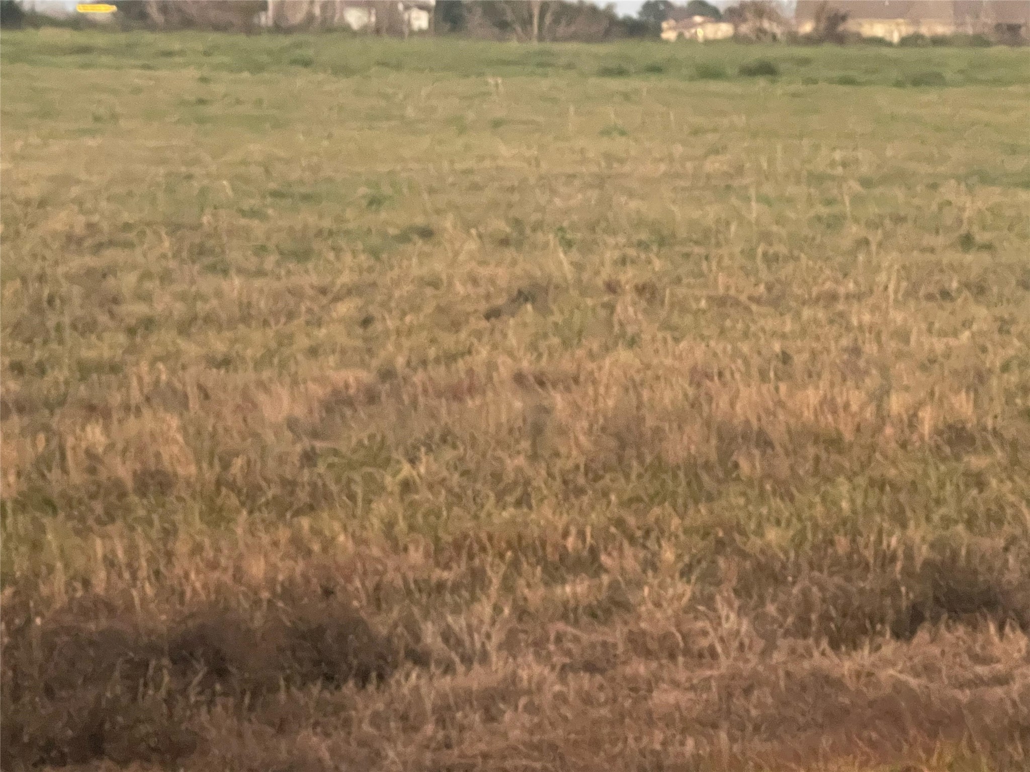 714 Chuckwagon Trail Angleton, TX 77515 - Photo 2 of 3 a view of an ocean