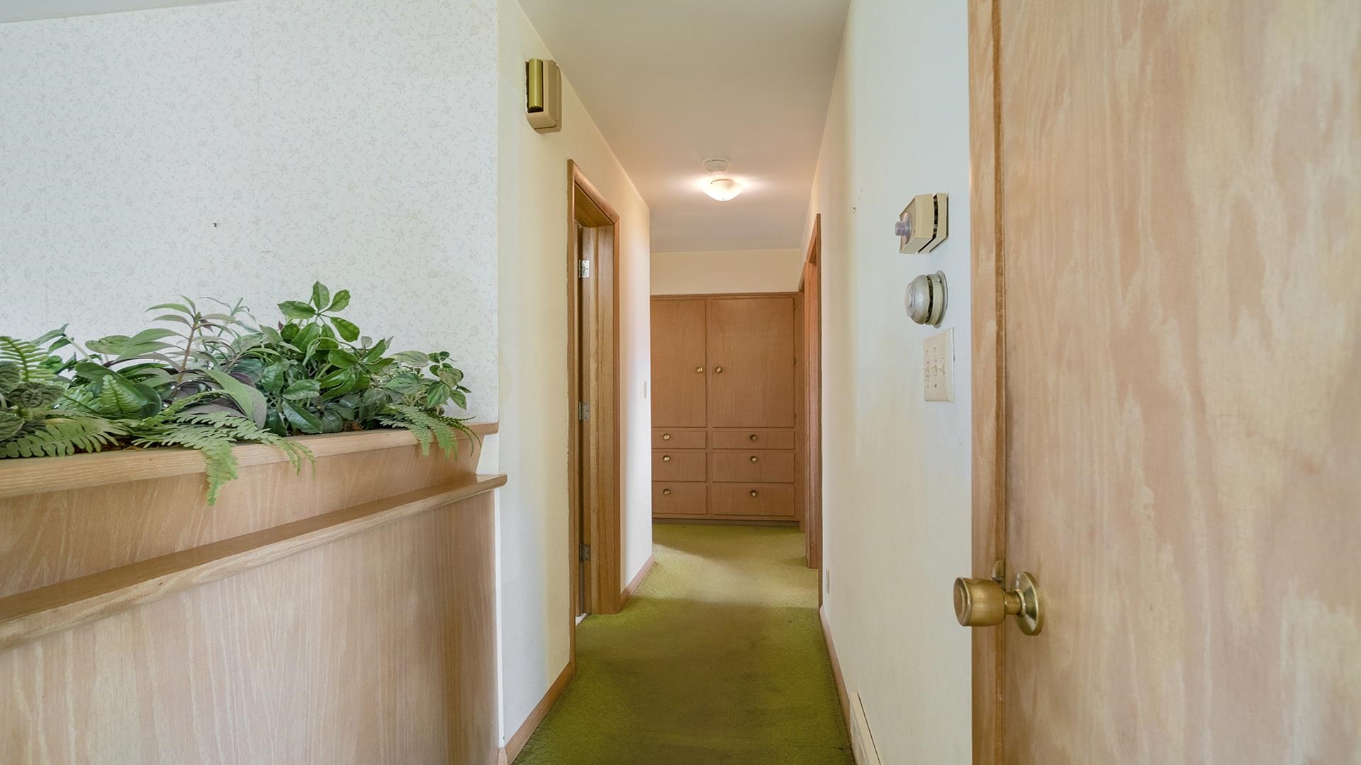 823 East Lilac Road Beloit, WI 53511 - Photo 7 of 28 a view of a hallway with a potted plant