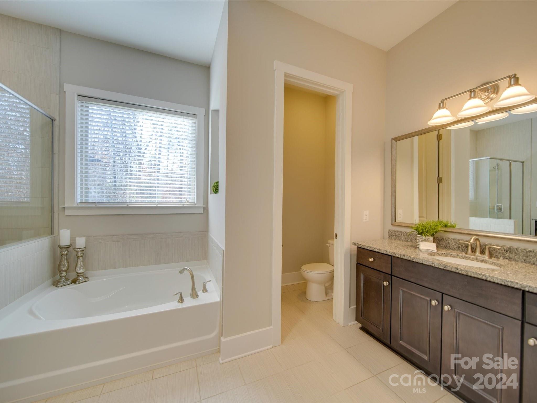 6723 Eliah Drive Weddington, NC 28104 - Photo 23 of 48 a bathroom with a tub sink toilet and a mirror