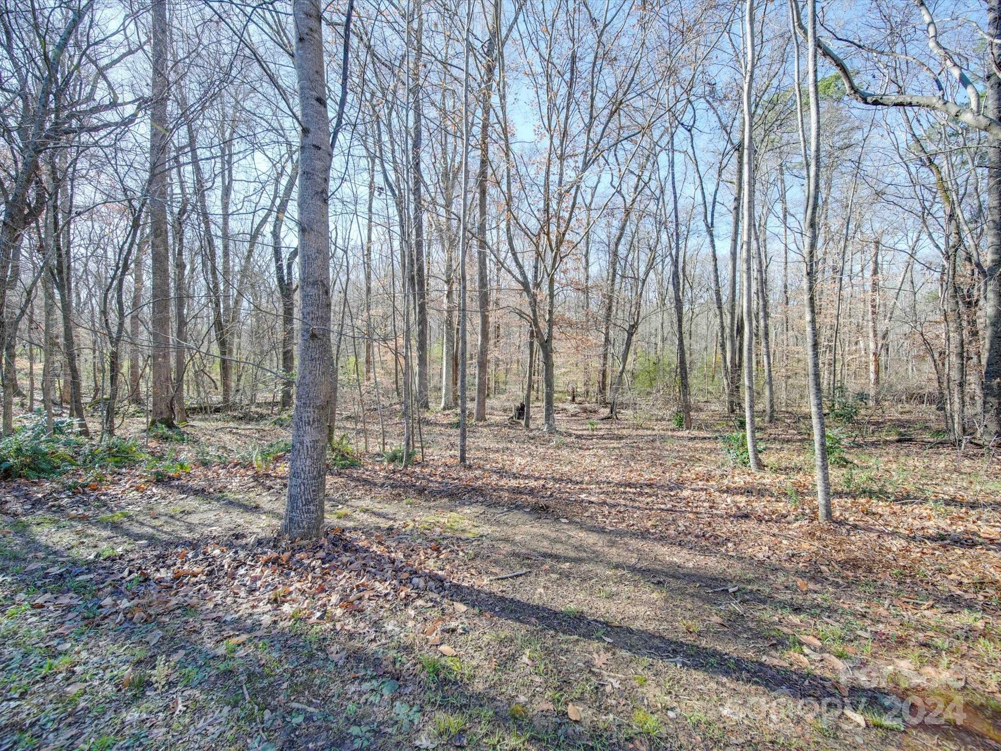 6723 Eliah Drive Weddington, NC 28104 - Photo 43 of 48 a view of a backyard