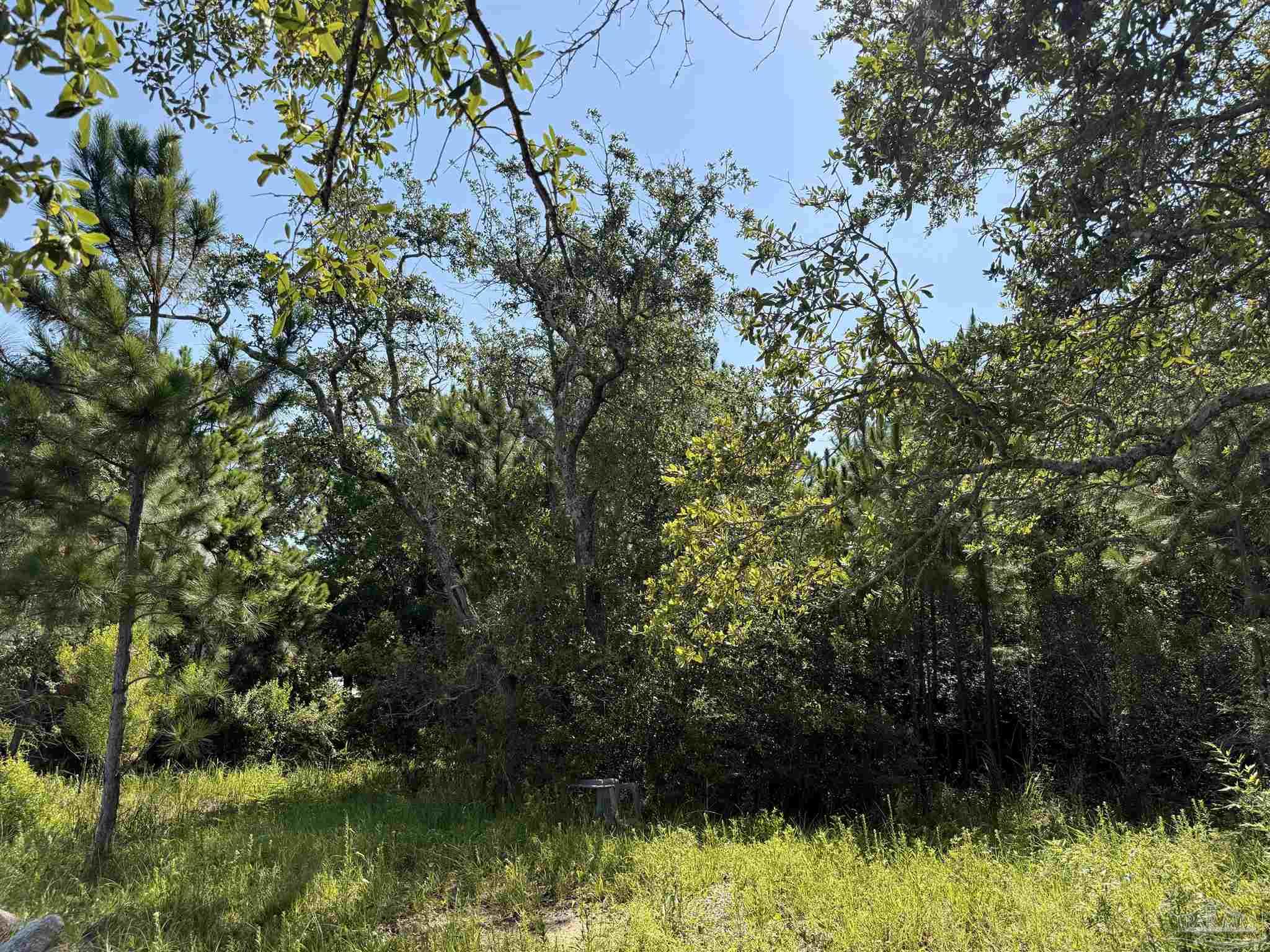 879 Dolphin Road Milton, FL 32583 - Photo 15 of 20