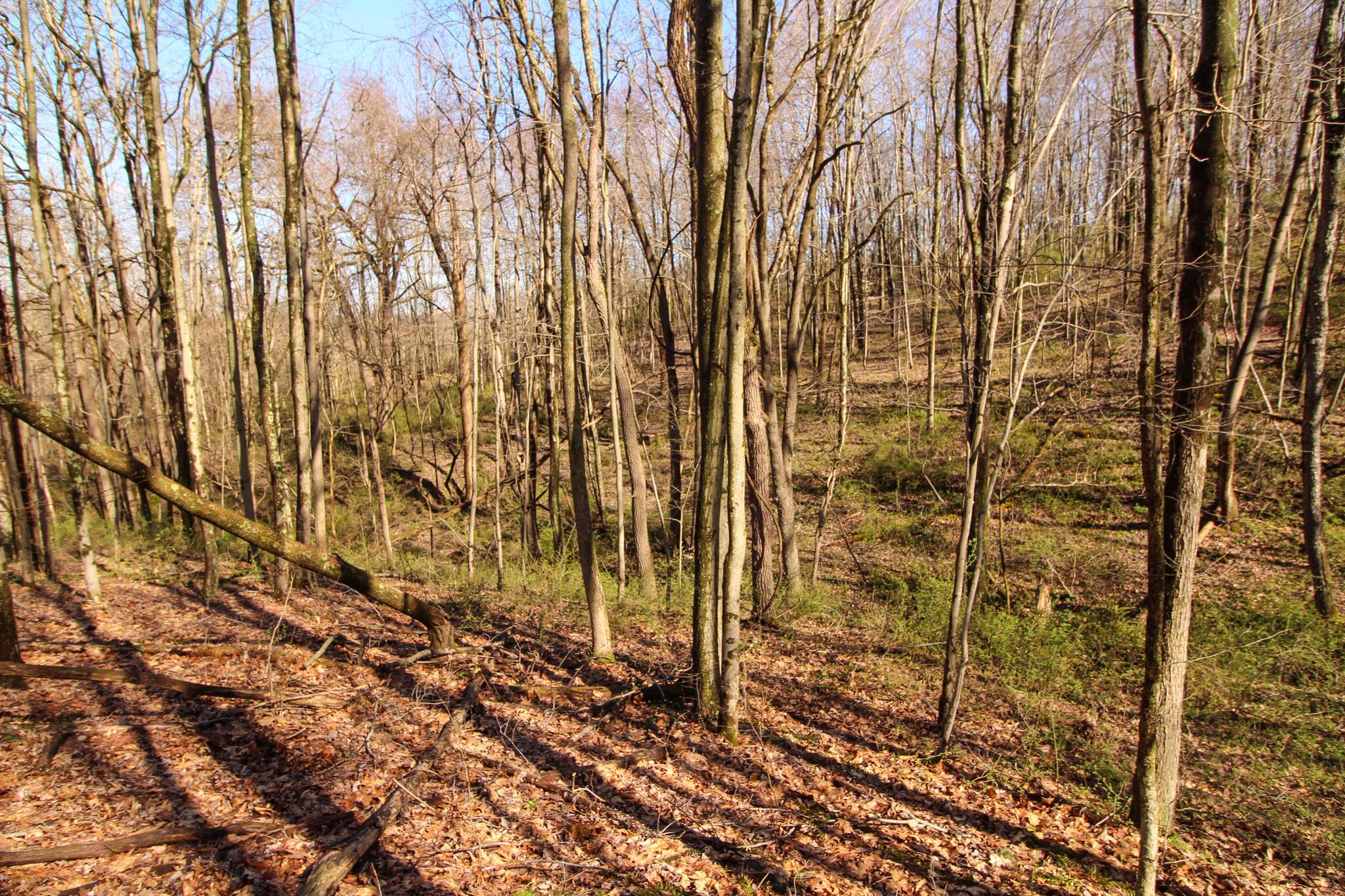 0 Windy Ridge Road New Concord, OH 43762 - Photo 23 of 28 IMG_4281