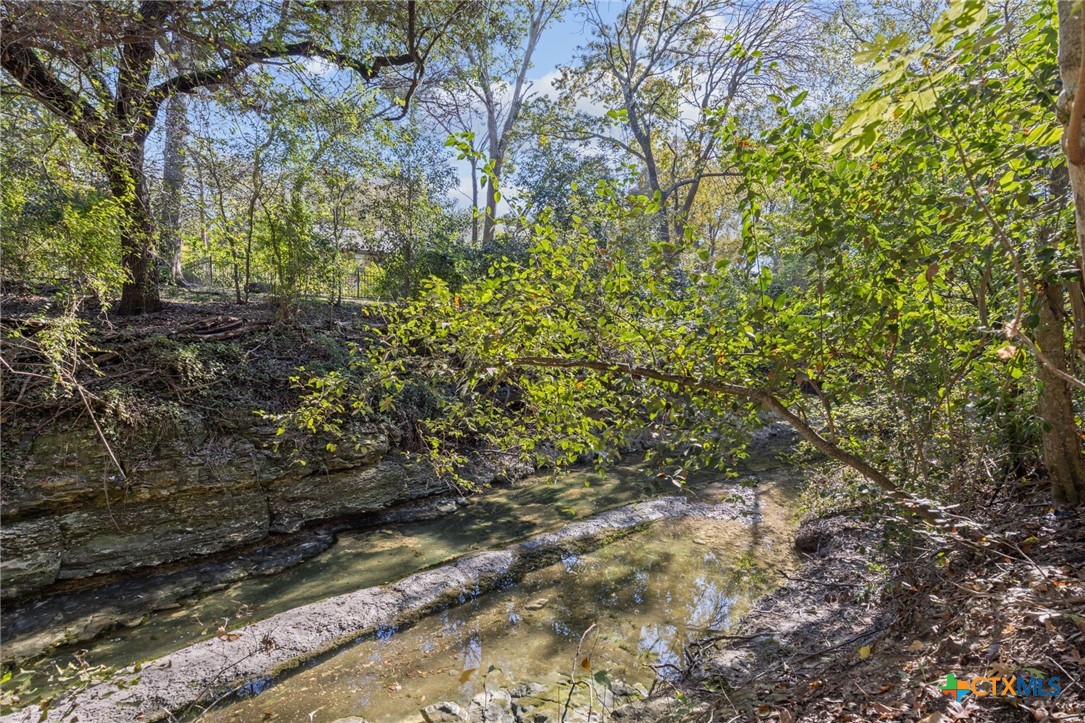 2509 Forest Trail Temple, TX 76502 - Photo 40 of 42 a view of a yard with plants and trees
