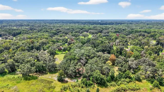 an aerial view of residential houses with outdoor space and trees
