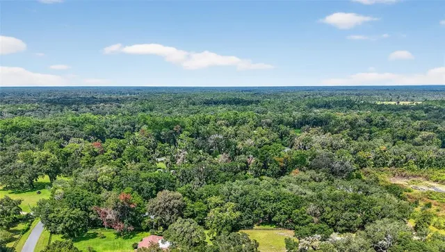 an aerial view of residential houses with outdoor space and trees
