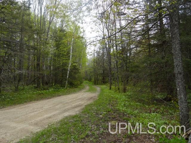 Tbd Tbd Sipila Road Eben Junction, MI 49825 - Photo 3 of 7