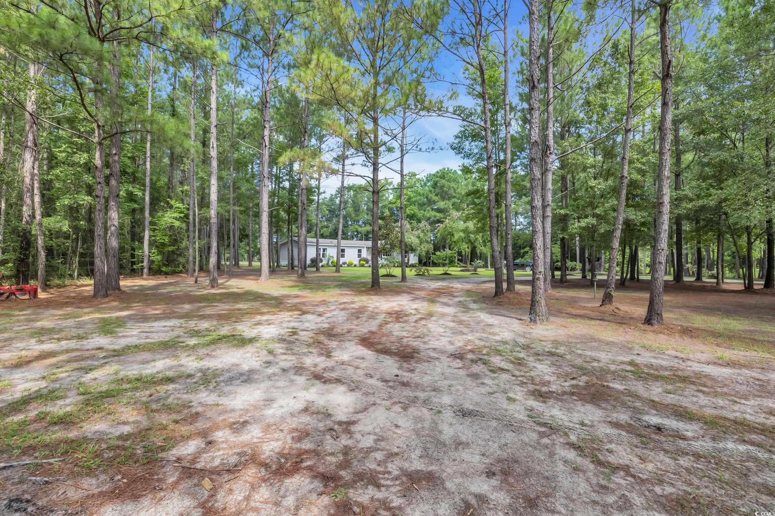 2068 Whispering Hills Road Loris, SC 29569 - Photo 23 of 39 Gallery Image 23