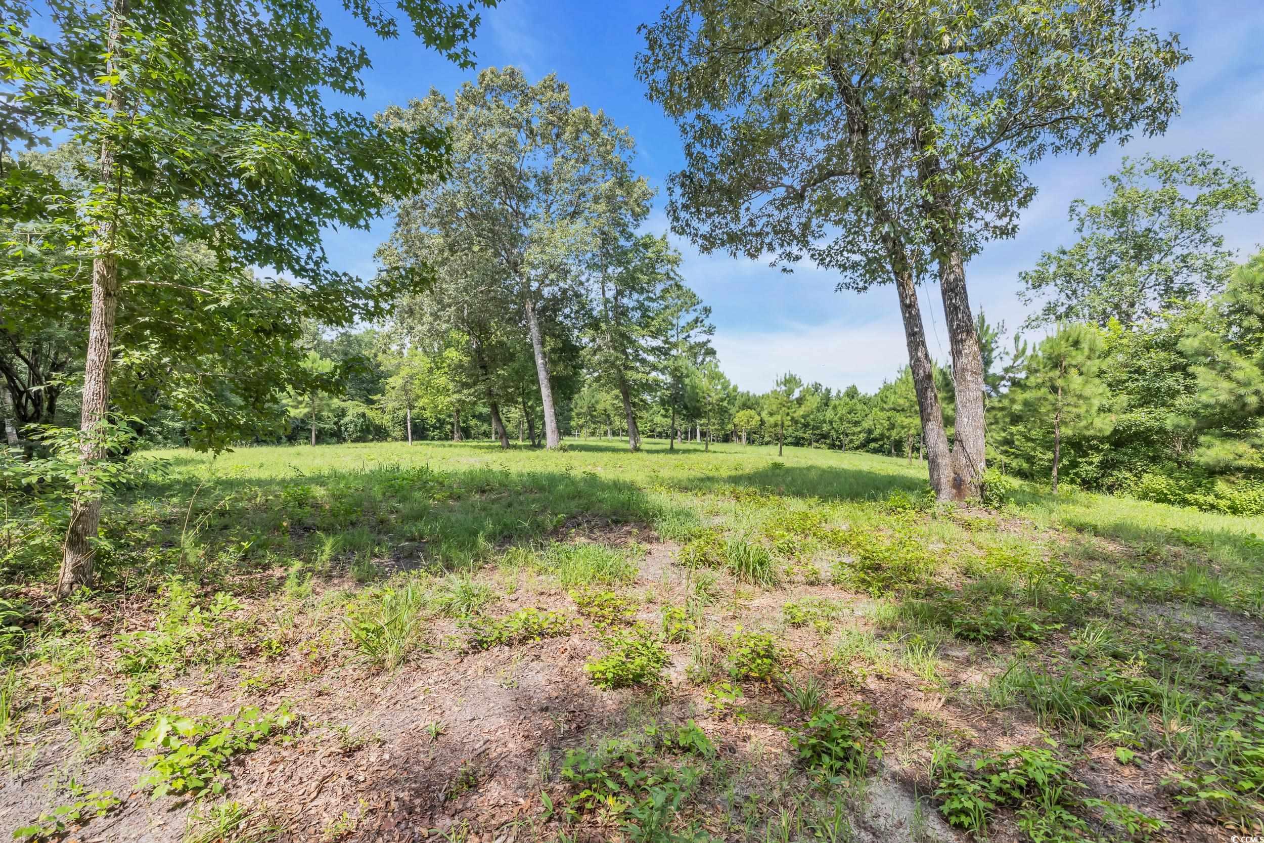 2068 Whispering Hills Road Loris, SC 29569 - Photo 24 of 39 Gallery Image 24