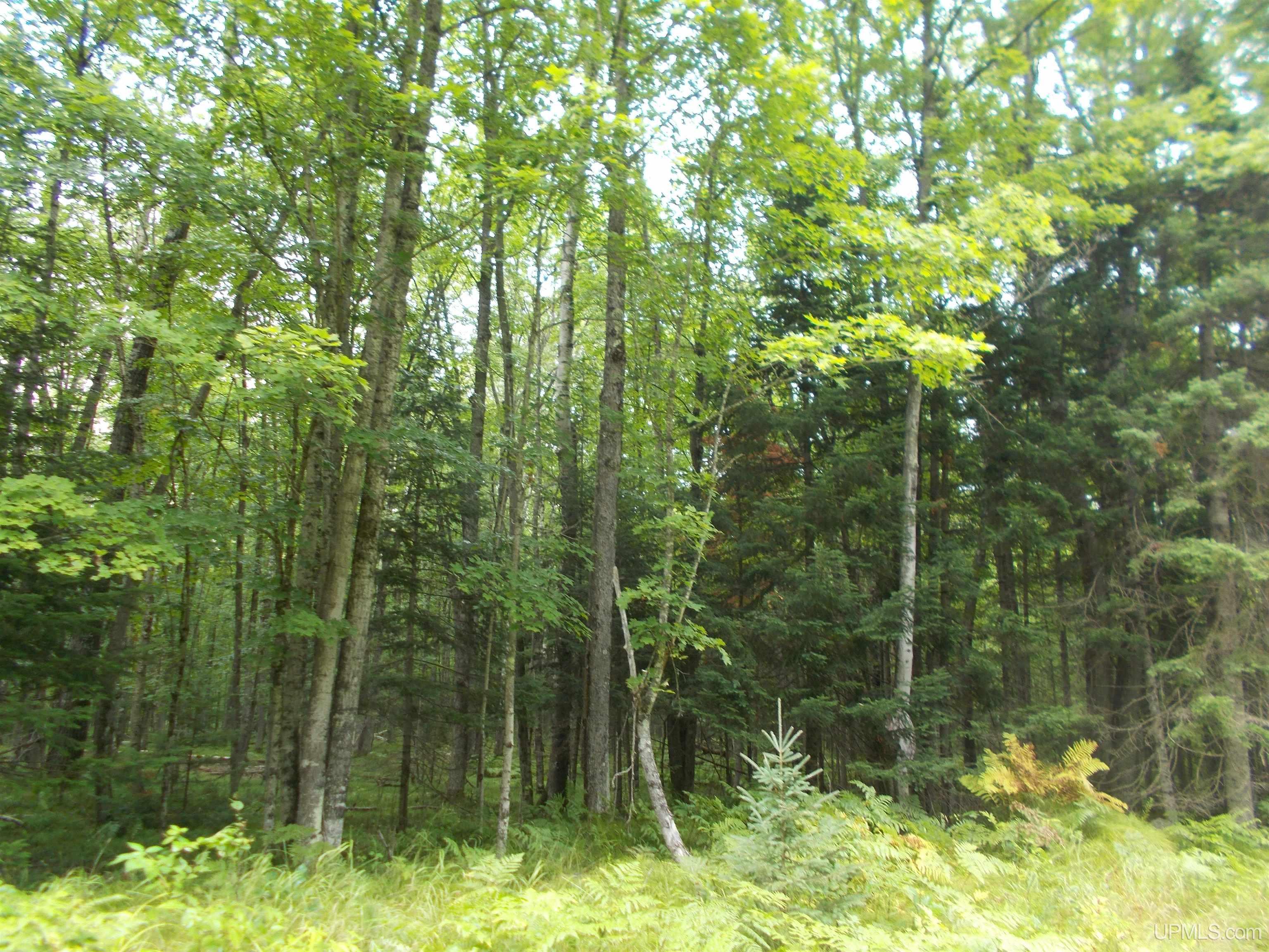 T-wi Turtle Creek Road Florence, WI 54121 - Photo 9 of 10