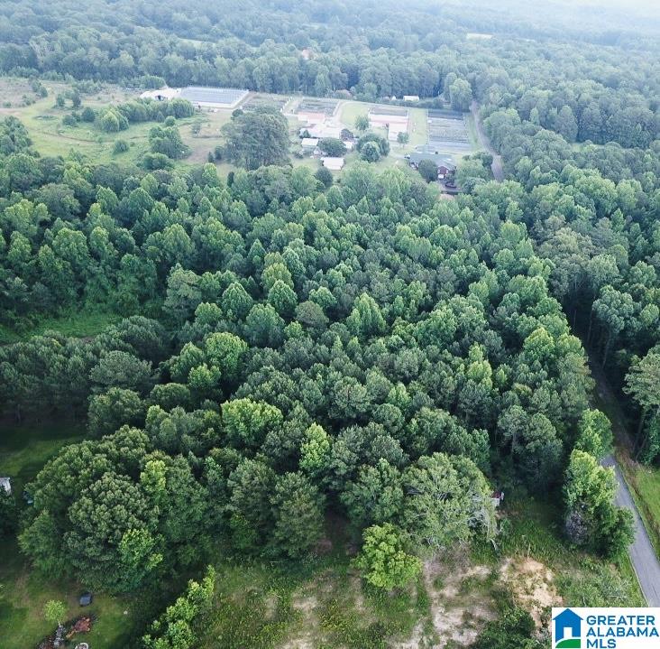 5041 Bryson Road, Unit NA 5041 Dora, AL 35062 - Photo 3 of 8