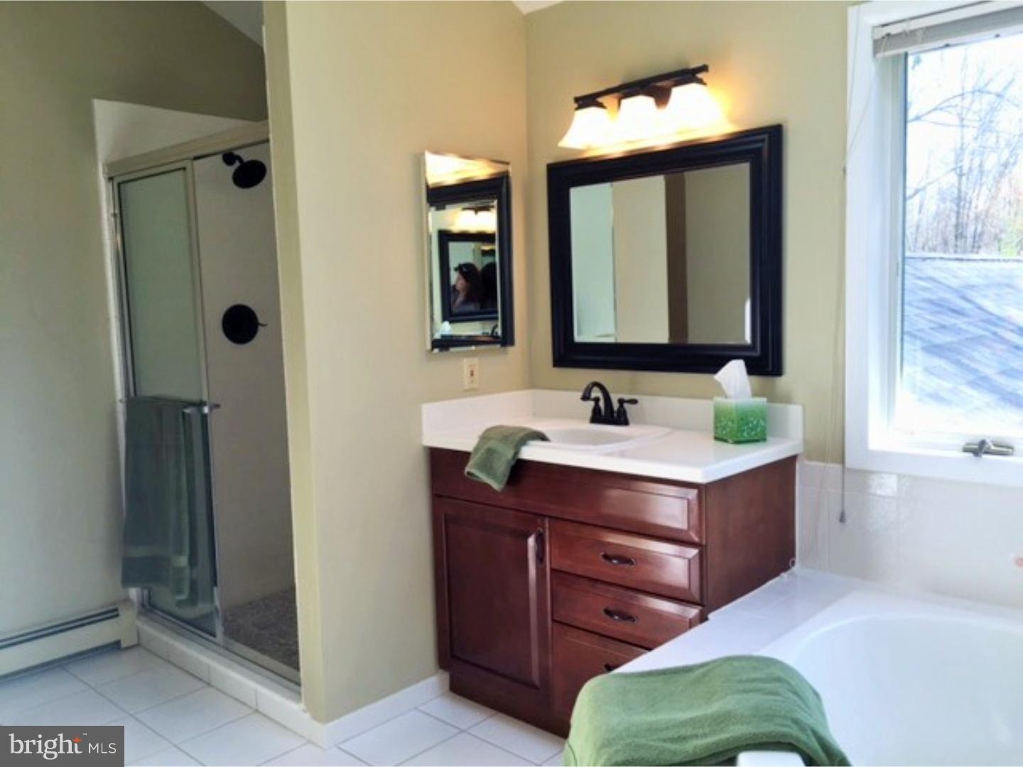 1166 Shannon Road Newtown, PA 18940 - Photo 17 of 25 Master Bathroom