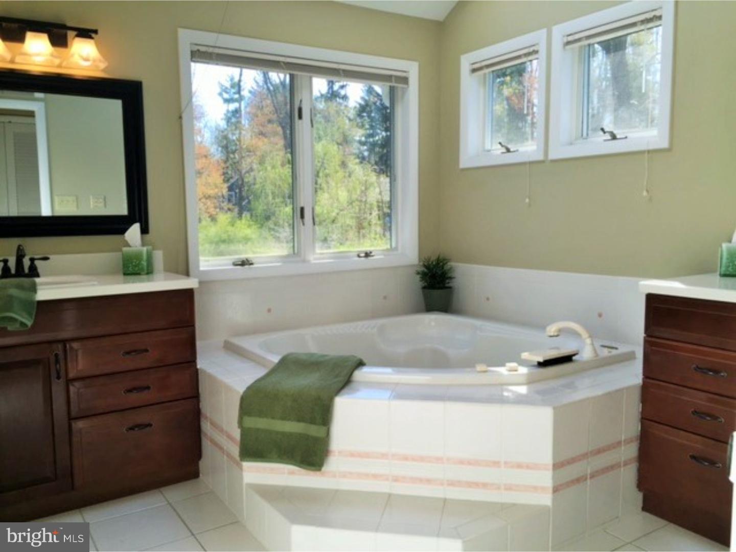 1166 Shannon Road Newtown, PA 18940 - Photo 18 of 25 Master Bathroom