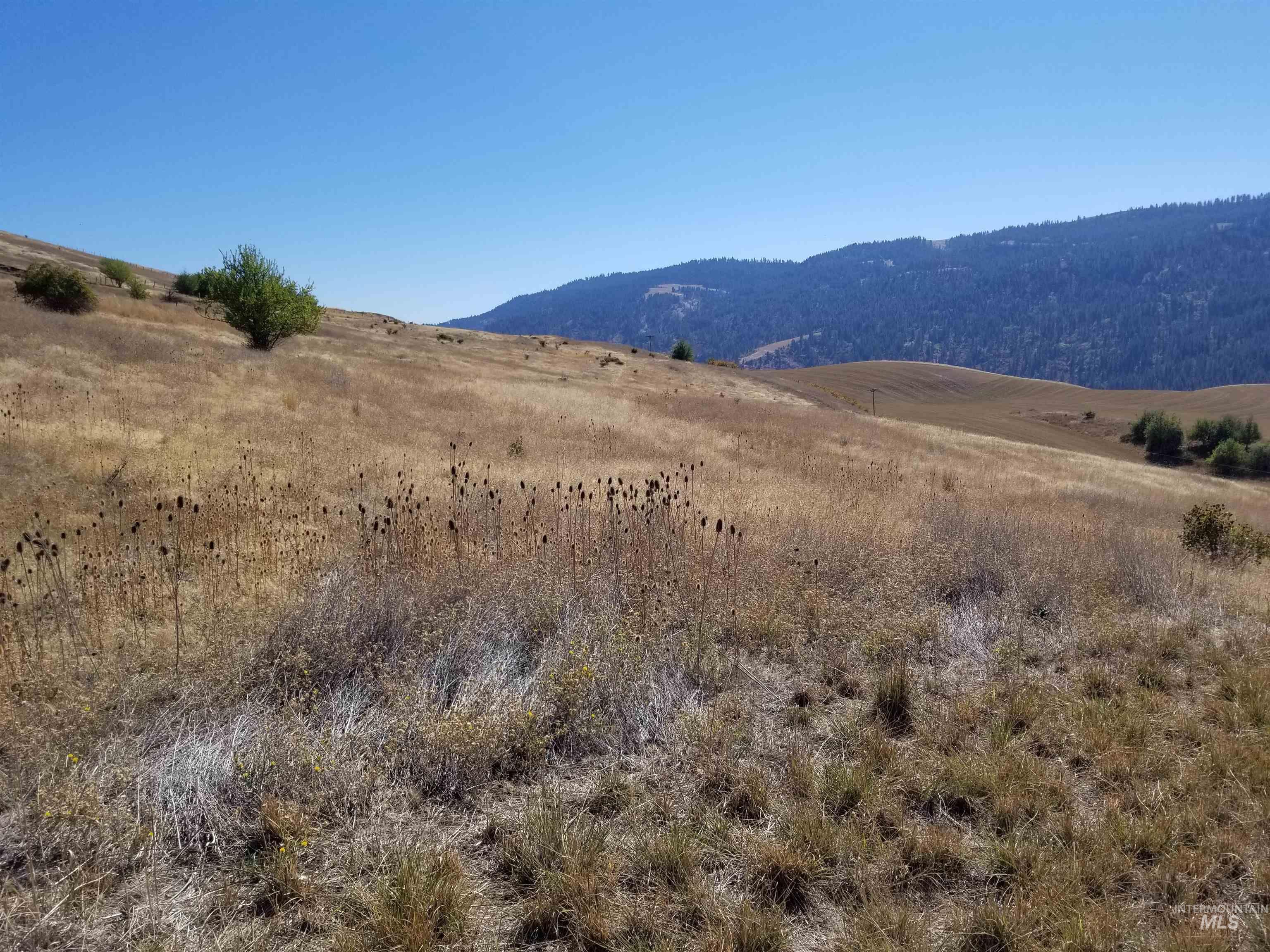 Tbd Sunnyside Bench Road Lenore, ID 83541 - Photo 33 of 37 Gallery Image 33